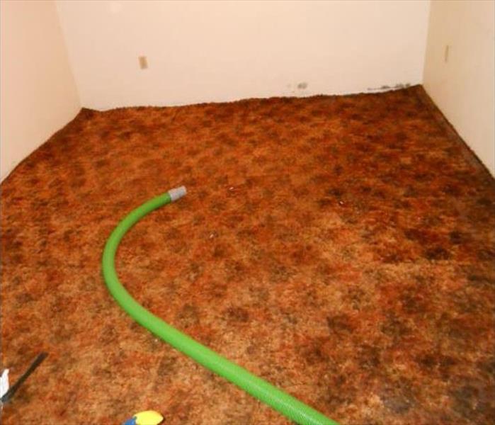 colored carpet soaked with water, green hose
