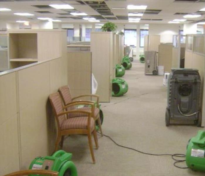 row of air movers and dehumidifiers in a carpeted office with cubicles