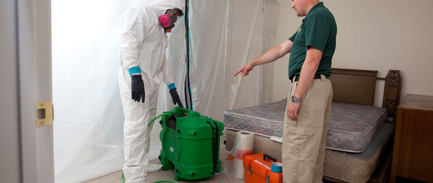 Mississauga, ON mold removal process